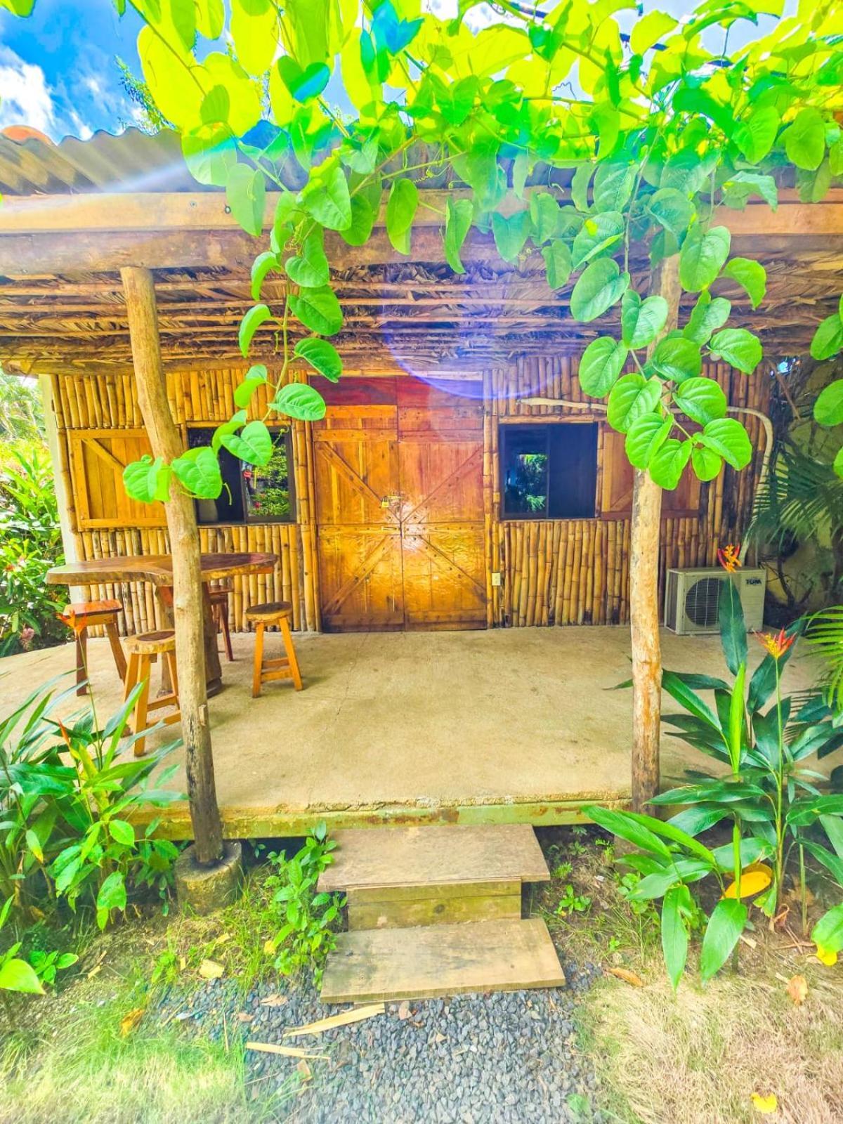 Hospedaje Combi Dream Bird Lejlighed Playas del Coco Eksteriør billede
